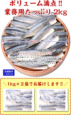 ◆骨取りサバ 1kg×2袋 訳あり小中サイズ(約16~28枚入り) - 画像 (3)